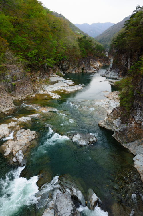 f0130376_9132495.jpg