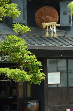 a0158478_1181110.jpg