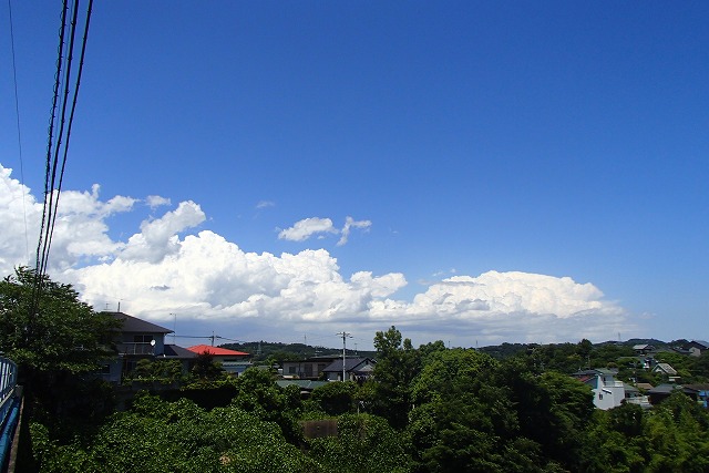 d0143678_612725.jpg