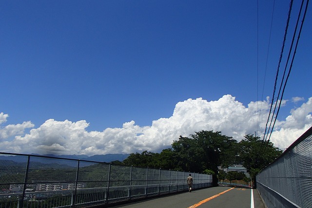 d0143678_613542.jpg