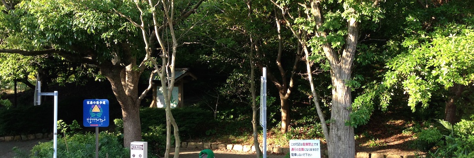 c0170789_06480421.jpg