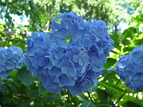 d0125890_21585869.jpg