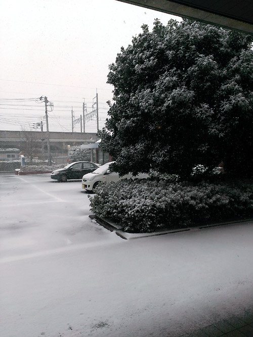 c0001491_23314987.jpg