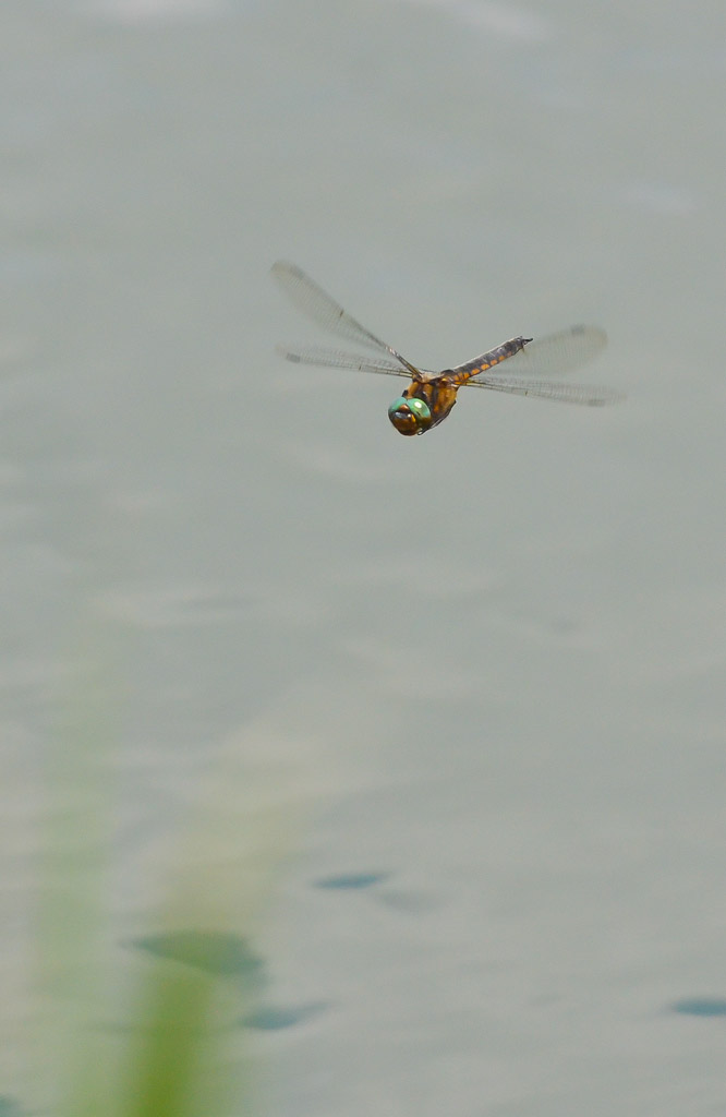 b0078795_2056040.jpg
