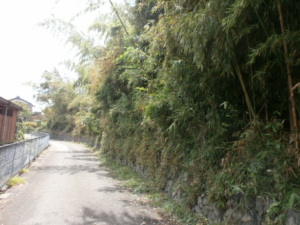 d0000995_22173369.jpg