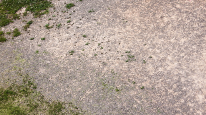 c0238497_19560159.jpg