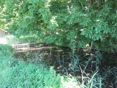 e0033301_20373616.jpg