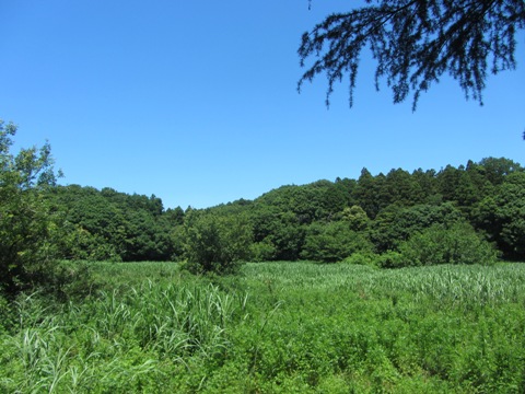 e0033301_20391871.jpg