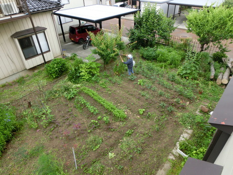 a0203003_918451.jpg