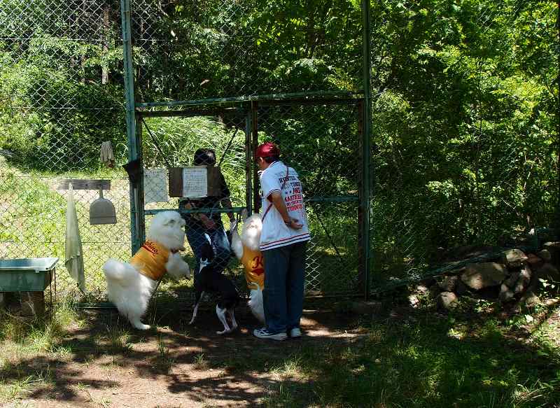 e0018604_23052879.jpg