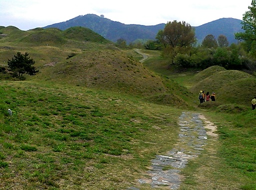 a0140305_2334230.jpg