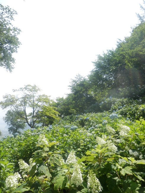 c0062511_202877.jpg