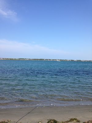 c0315411_22472288.jpg