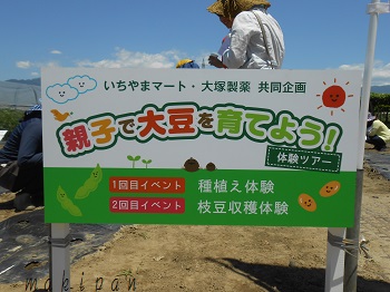 c0229312_16462890.jpg