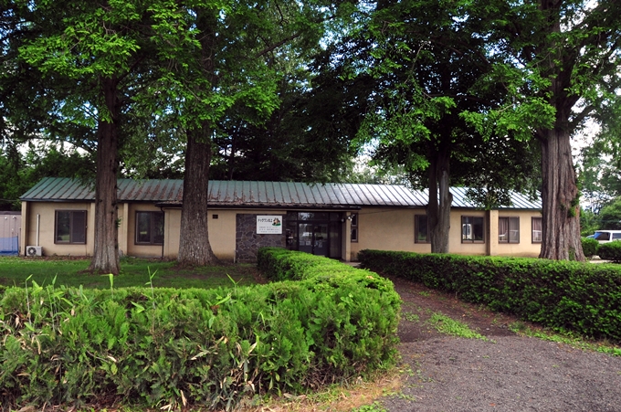 d0179113_22025913.jpg