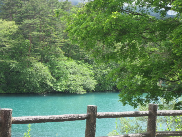 f0248616_10312925.jpg