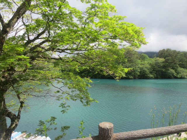 f0248616_10315841.jpg