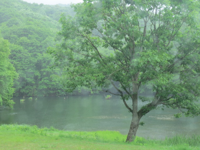 f0248616_10531660.jpg