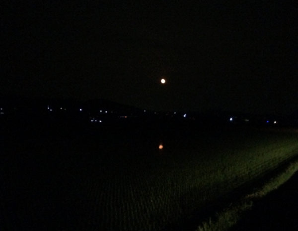 f0086618_2246282.jpg