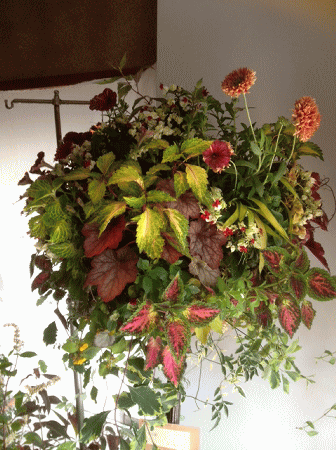 a0251920_18174796.gif