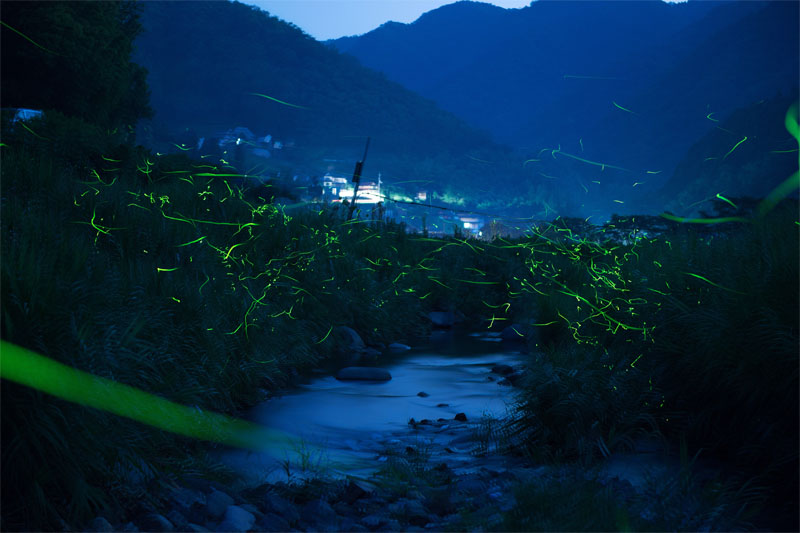 d0029829_8442868.jpg