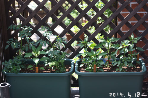 d0142929_8585270.jpg