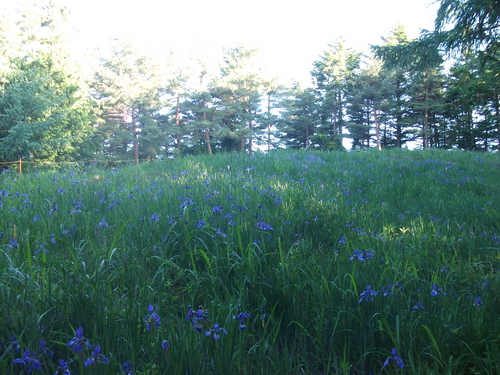 f0304030_6391925.jpg