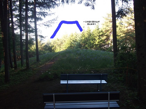 f0304030_741891.jpg