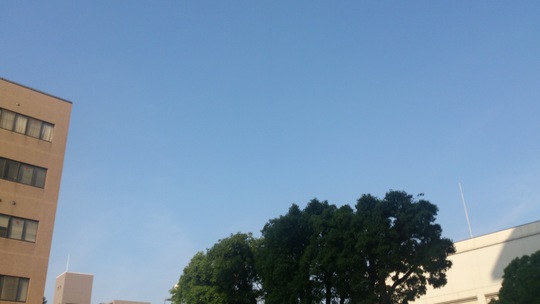 e0305733_7433981.jpg
