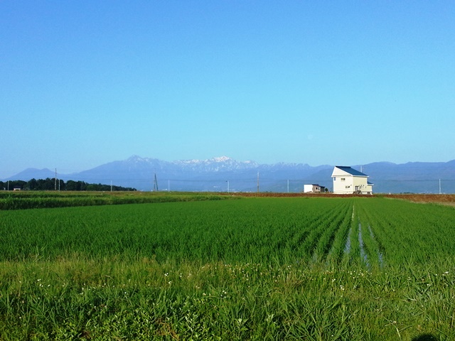 f0131535_23022185.jpg