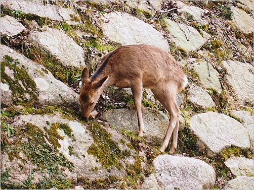 e0022839_21524858.jpg