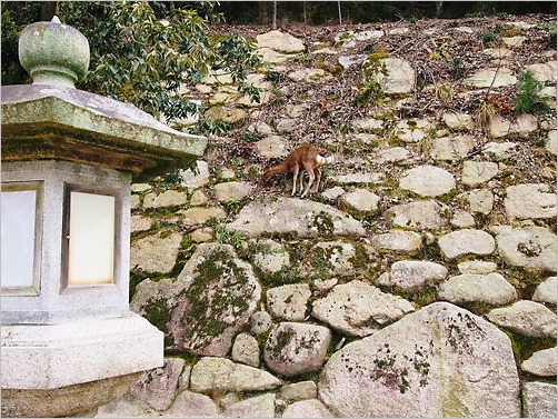 e0022839_21532150.jpg