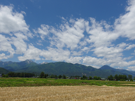 a0014840_2123223.jpg