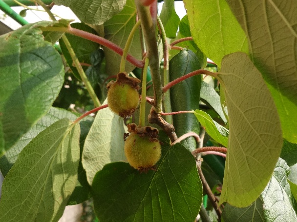 b0149340_225777.jpg