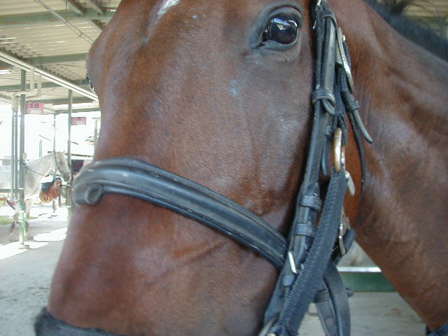 a0305943_8591778.jpg