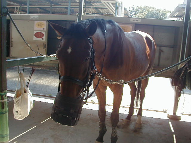 a0305943_9203588.jpg