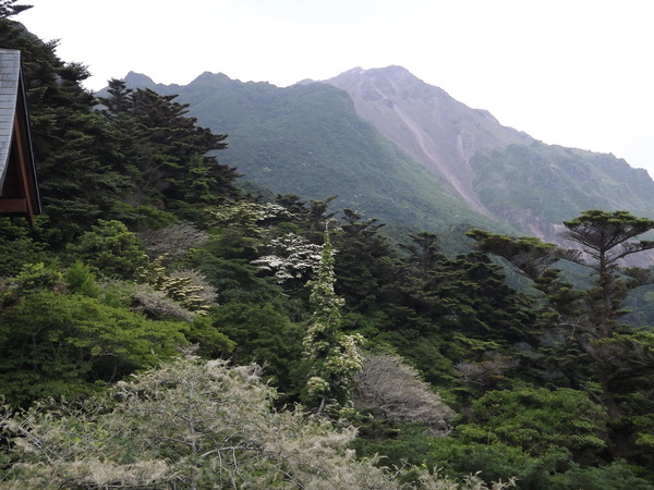 a0206345_222764.jpg