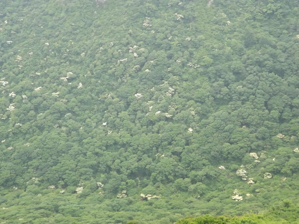 a0206345_2234231.jpg