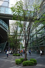 e0080345_07044440.jpg