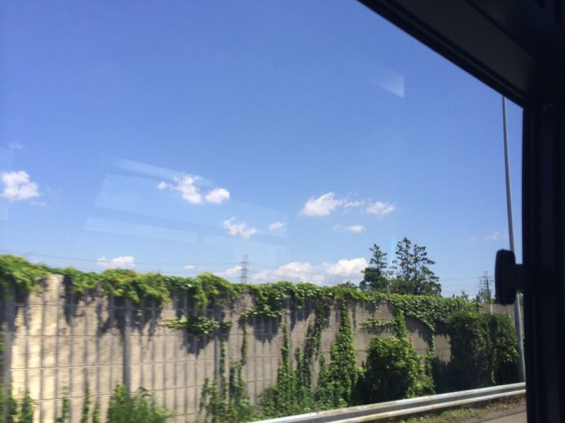 e0210347_1092169.jpg
