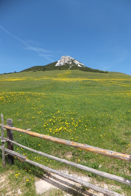 f0161652_7243216.jpg