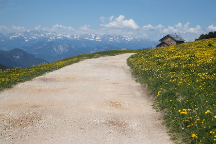 f0161652_7284032.jpg