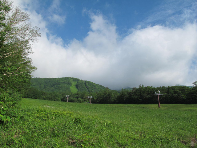 c0116856_20345685.jpg