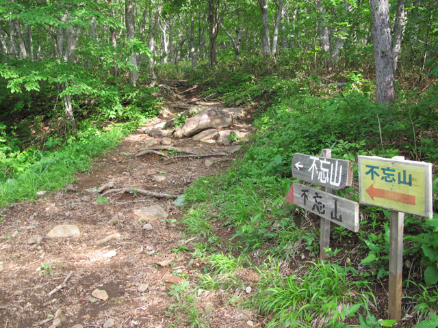 c0116856_20374691.jpg