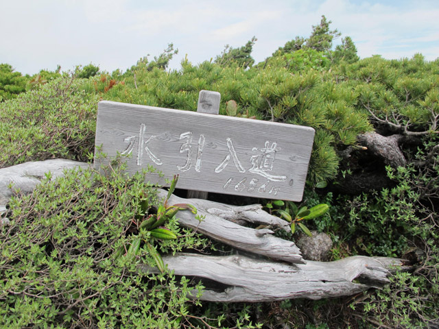 c0116856_21112617.jpg