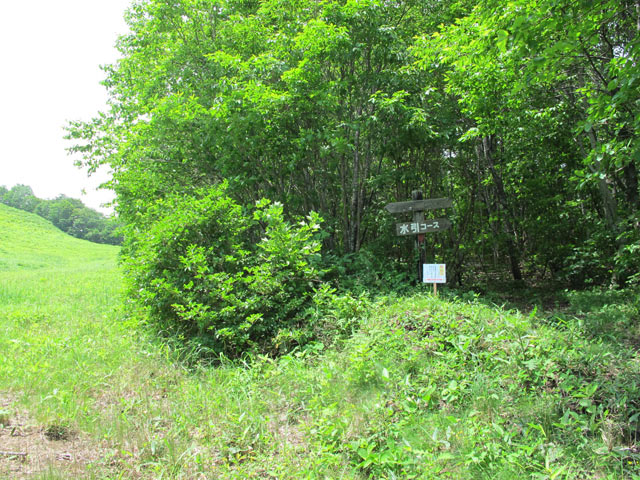 c0116856_21163478.jpg
