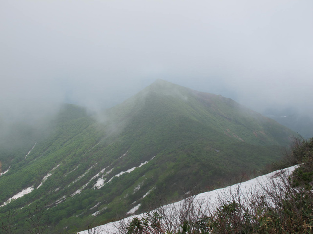 c0116856_216481.jpg