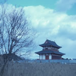 f0355473_20254760.jpg