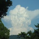 f0355473_20254880.jpg