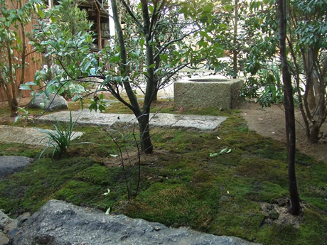 f0355473_20255174.jpg